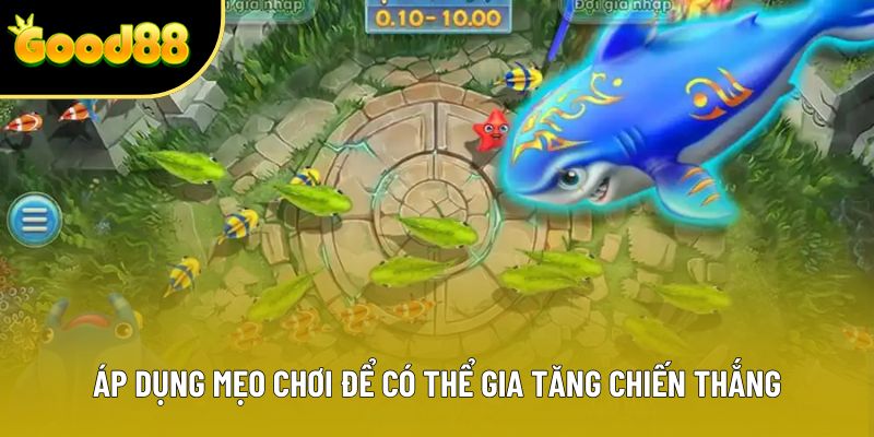 Áp dụng mẹo chơi để có thể gia tăng chiến thắng