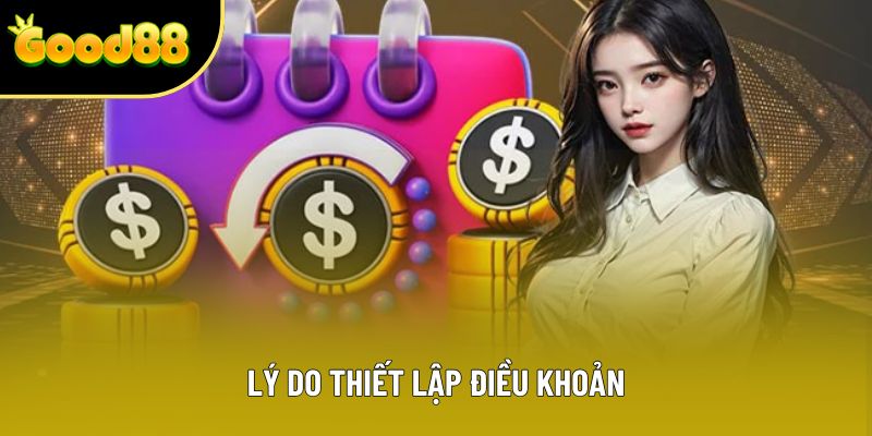 Lý do thiết lập điều khoản