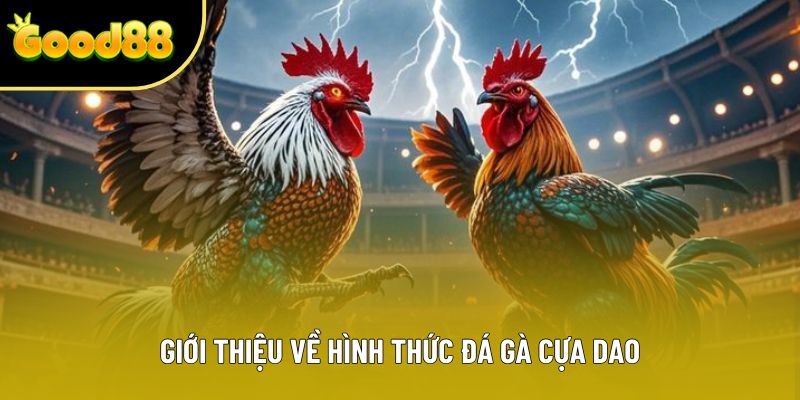 Giới thiệu về hình thức đá gà cựa dao