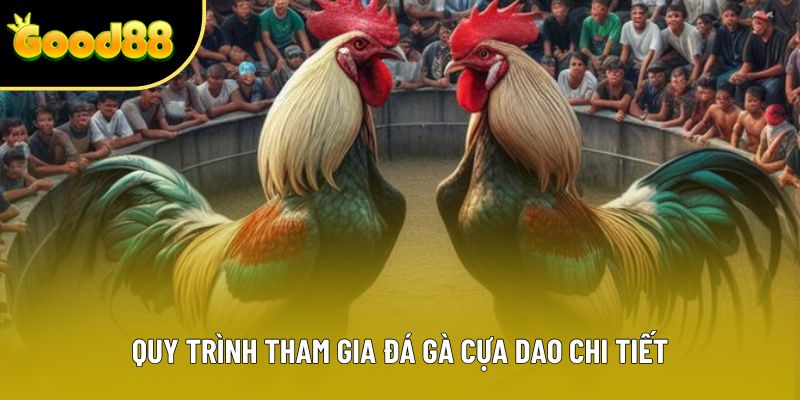 Quy trình tham gia đá gà cựa dao chi tiết