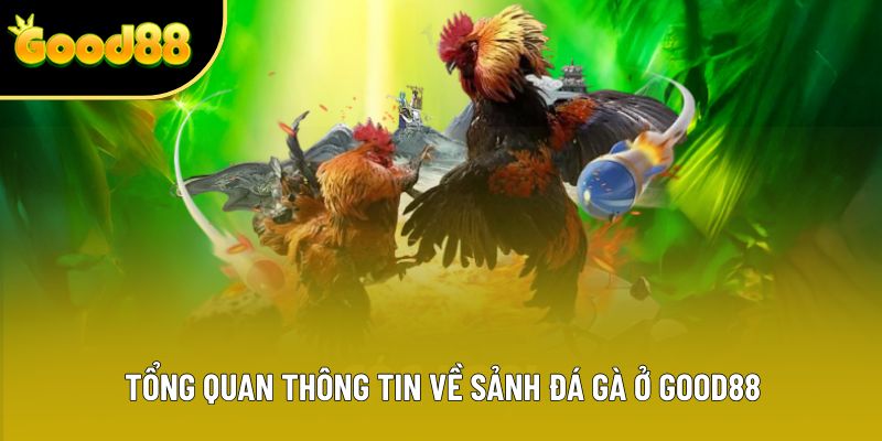 Tổng quan thông tin về sảnh đá gà ở Good88