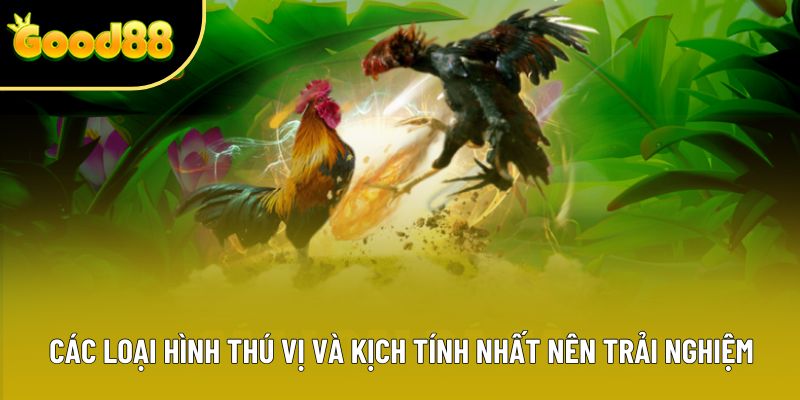 Các loại hình thú vị và kịch tính nhất nên trải nghiệm