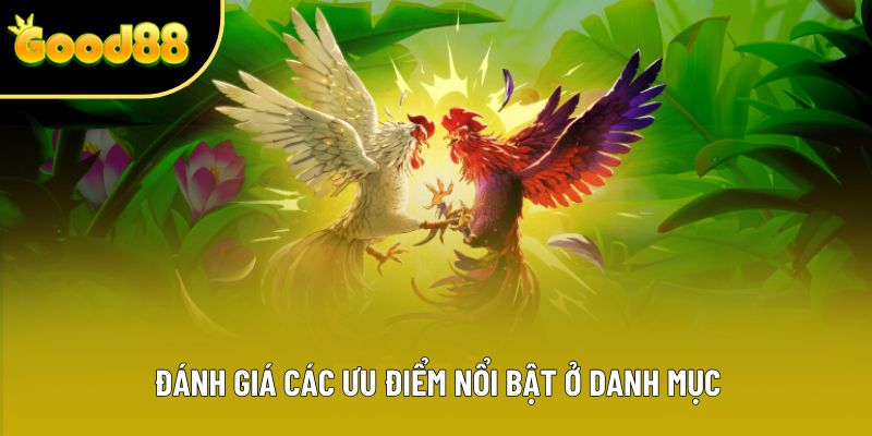 Đánh giá các ưu điểm nổi bật ở danh mục