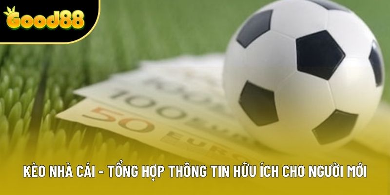 Kèo Nhà Cái - Tổng Hợp Thông Tin Hữu Ích Cho Người Mới 2025