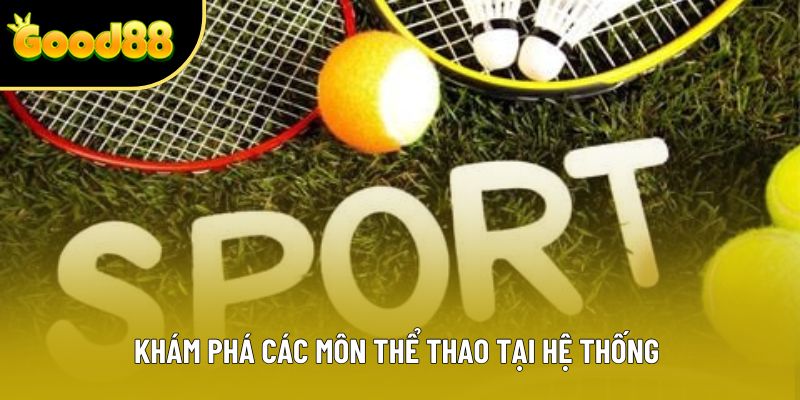 Khám phá các môn thể thao tại hệ thống 