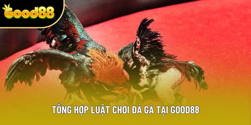 Tổng hợp luật chơi đá gà tại Good88